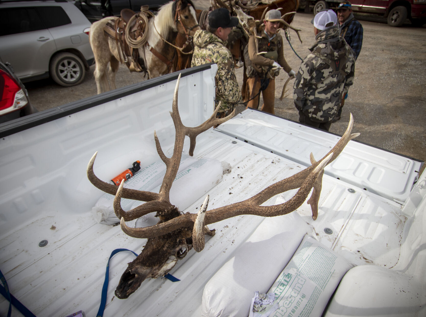 Antler hunt